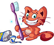 What TCS Members Use: Cat Dental Health Care