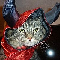 21 Dressed-up Cats That Will Make You Laugh This Halloween