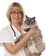 Spaying and Neutering - What to Ask Before the Surgery
