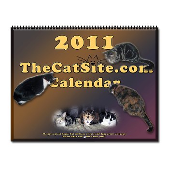 TCS Calendar