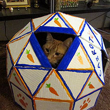 How To Build a DIY Cat Cave From Cardboard