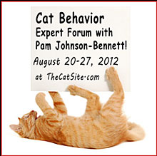 Cat Behavior Expert Forum with Pam Johnson-Bennett
