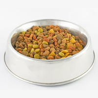 Choosing the Right Dry Cat Food