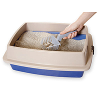 How Often Should I Clean the Litter Box?