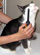 Product Review: JW Pet Company GripSoft Cat Comb