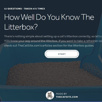 New Quiz! How Well Do You Know the Litterbox?