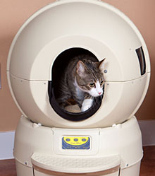 Picture of the Month Contest of Litter Box Photos - Sponsored by Litter-Robot