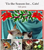 Best Pinterest Boards: Cats and The Holidays