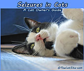 Cat seizures