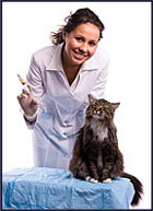 The Cat Vaccination Guide